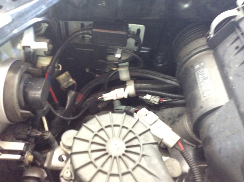 photo02